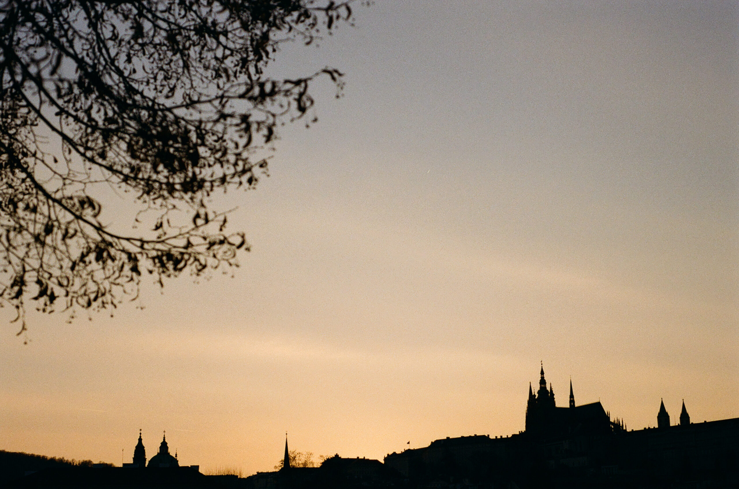 Analog Kodak Gold 200 Nikon 100F