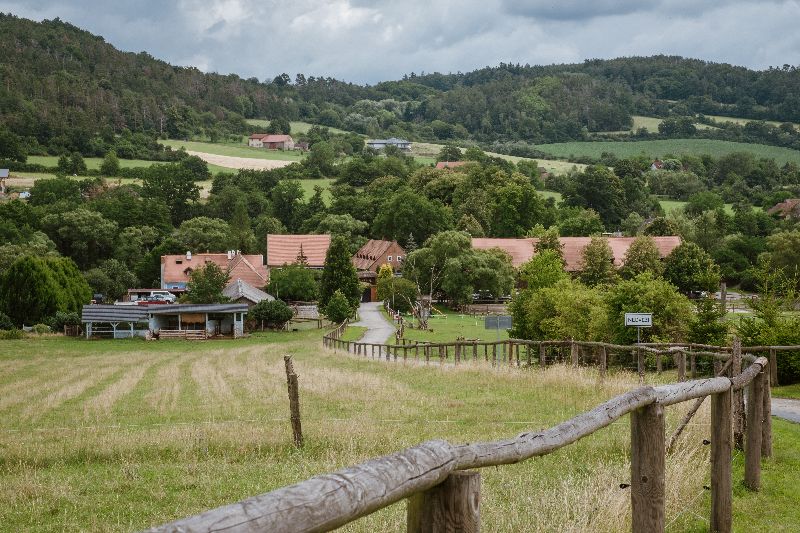 Svatba Farma Michael