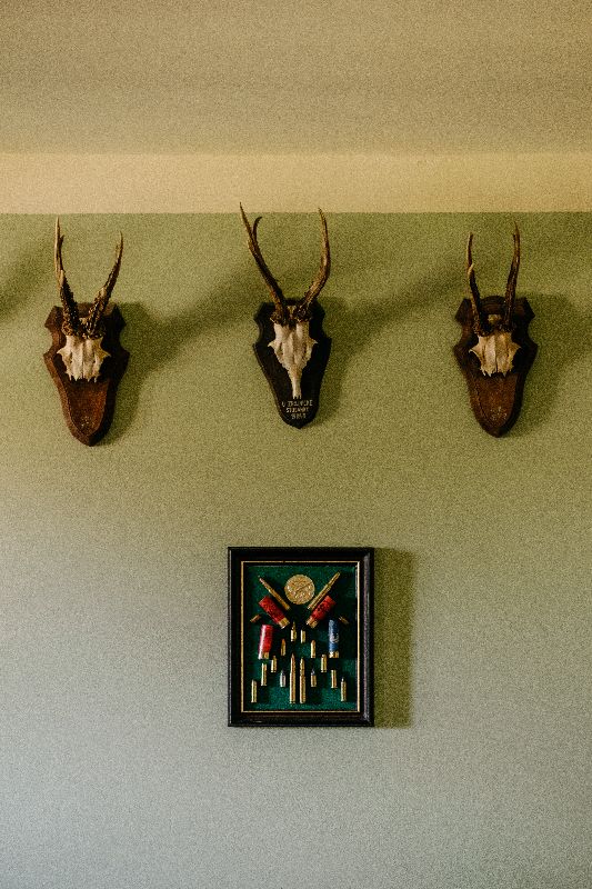 Svatek Všetice svatba