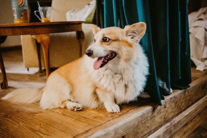 Svatba Dvůr Pecínov